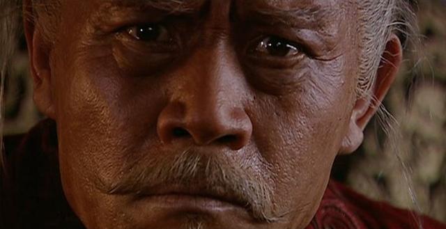 柳云龙优秀演员(近25年来最好的10位国产剧导演)(33)