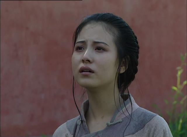 柳云龙优秀演员(近25年来最好的10位国产剧导演)(31)