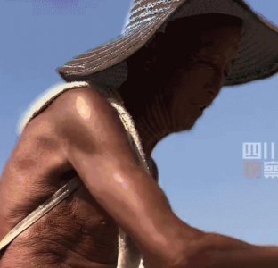 ​骂「洗脑片」的，你的灾难才刚刚开始