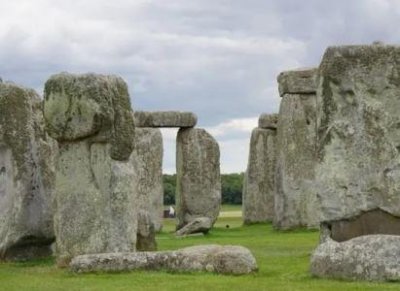 ​森蚺会主动攻击人吗？