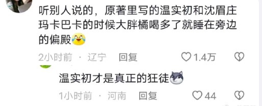 《甄嬛传》里温实初才是真正的狂徒 一场大雪挽回了果子狸的口碑!