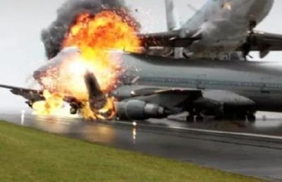 ​我国有三棵最值钱的树在哪里你知道吗？它们非常珍贵！价值非常高