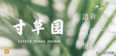 ​《吐槽大会5》第6期：为了不被团灭，火力全开，吐槽招术大比拼