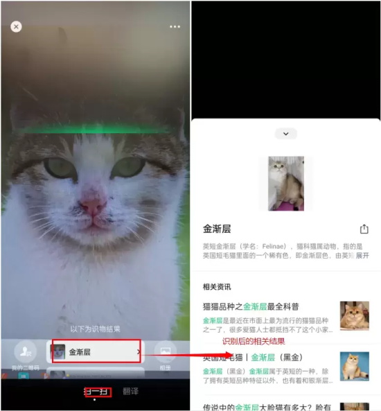 感人治愈催泪电影有哪些(温情治愈的8部超级催泪电影推荐)