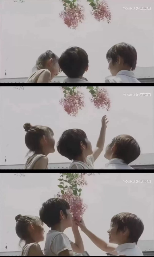 感人治愈催泪电影有哪些(温情治愈的8部超级催泪电影推荐)