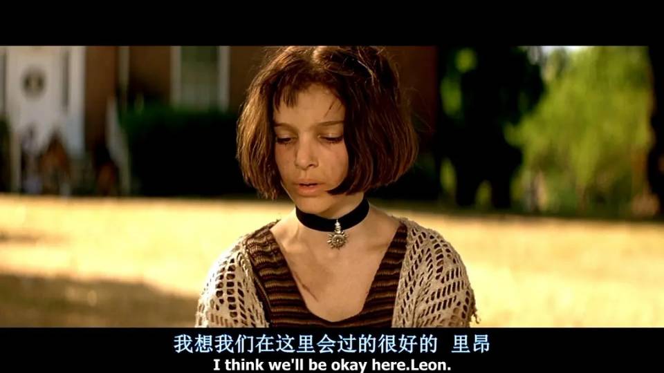 这个杀手不太冷讲述的什么故事(最后结局是什么意思)