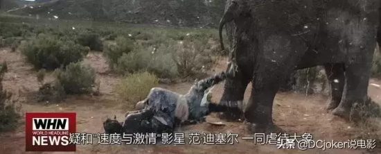 十部巅峰喜剧电影 盘点好莱坞十大经典喜剧电影