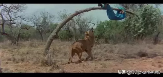 十部巅峰喜剧电影 盘点好莱坞十大经典喜剧电影