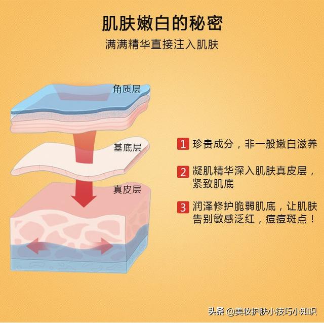玻色因真的能抗皱吗（抗衰老贵妇成分）(5)