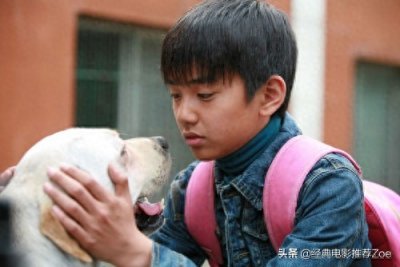 高分虐心催泪电影(泪点再高也会哭的电影)