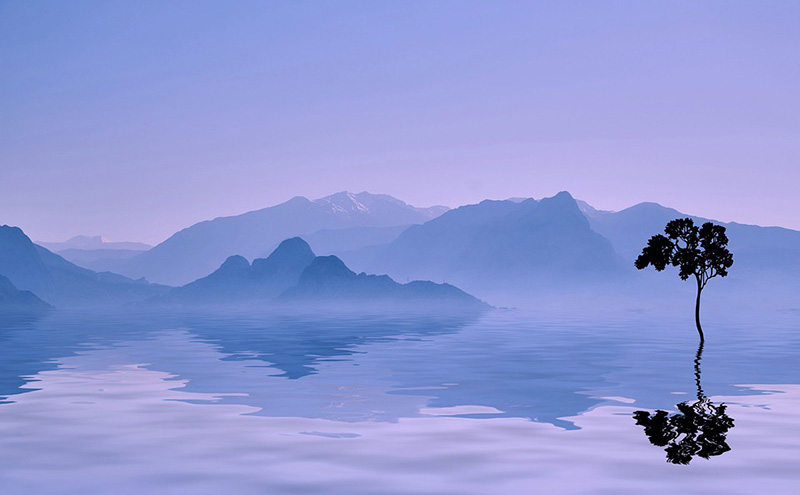 宫崎骏的所有作品动画片(宫崎骏的所有作品电影)