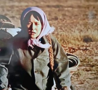 山海情演员演技太好了(山海情演员评价)