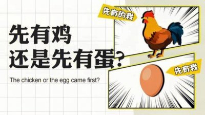 ​先有了鸡还是先有了蛋（先有鸡还是先有蛋）