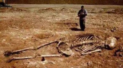 ​橄榄油产量居世界第一的国家