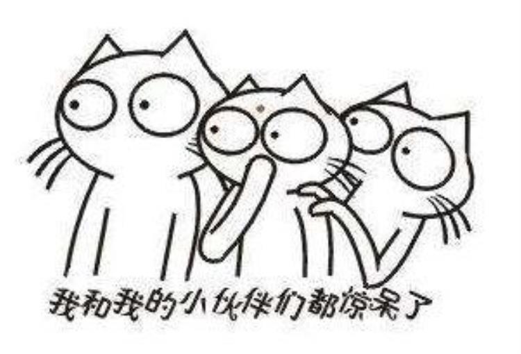 很多网友问广州地铁为什么那么挤人「很多网友问广州地铁为什么那么挤」