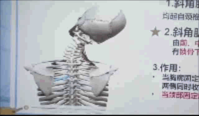 潘周聃搞笑模仿短（因一个甩头动作火了）(4)