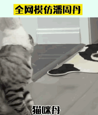 潘周聃搞笑模仿短（因一个甩头动作火了）(6)