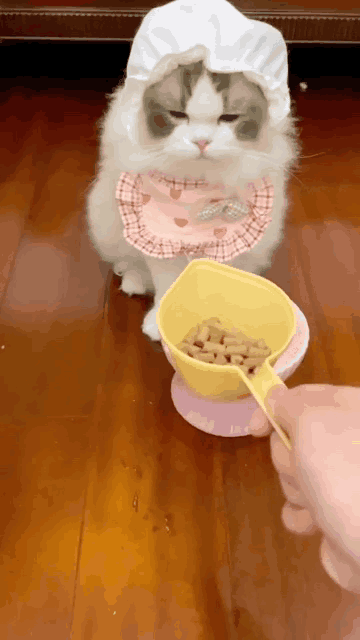 潘周聃搞笑模仿短（因一个甩头动作火了）(5)