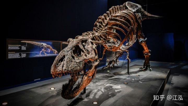 霸王龙的外形特点(霸王龙是什么时期的)