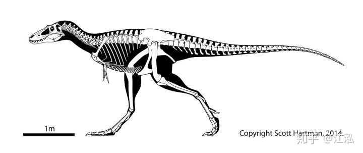 霸王龙的外形特点(霸王龙是什么时期的)