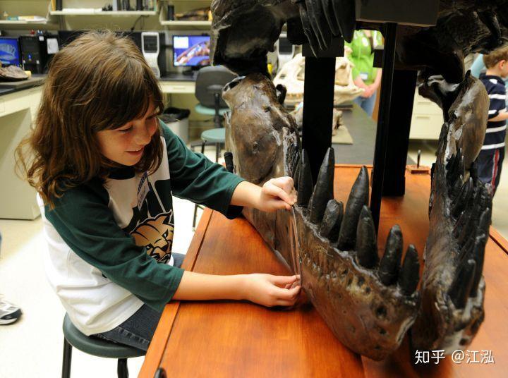 霸王龙的外形特点(霸王龙是什么时期的)