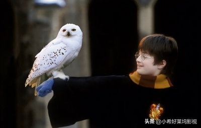 ​如何正确进入J.K.罗琳的魔法世界？《哈利·波特》系列观影顺序