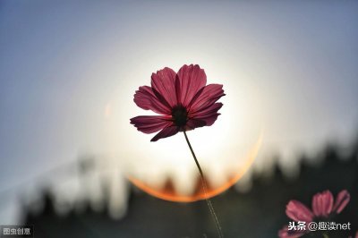 《雪中悍刀行》徐凤年与洛阳:人生若只如初见,何事秋风悲画扇