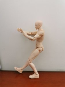 ​简单易学的小架太极——揽雀尾