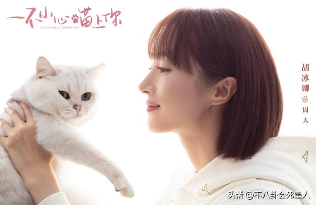 任素汐哪里人个人资料简介(长相一般演啥都一个样)(24)