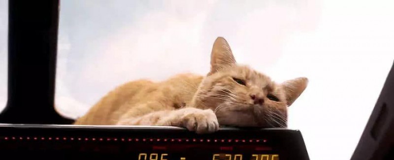 复联3彩蛋惊奇队长(惊奇队长结尾两彩蛋解析)