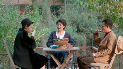 鸡毛飞上天杨雪的结局(鸡毛飞上天杨雪晚年凄凉)