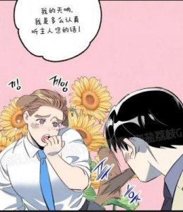 《非诚勿扰》中的腹黑女孩赵莹:寻找肌肉男与挑战选择恐惧症之旅