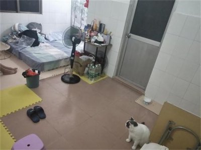 出租房为什么那么耗电