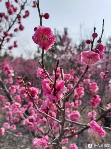 ​初春游玩的宝藏玩具，带娃神器。