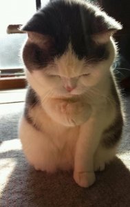 90后被坑的好惨,看完感觉整个人生都不好了