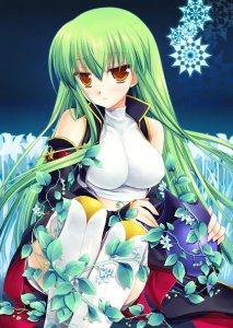 不能错过的《叛逆的鲁鲁修》C.C超帅气壁纸!好的女王大人!