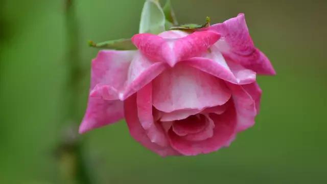 5月7日,爱妻日!送给天下所有辛苦的女人!