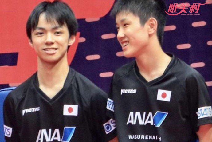 张本智和 张本智和