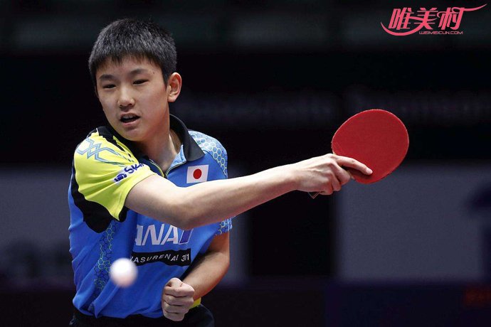 张本智和比赛 张本智和比赛