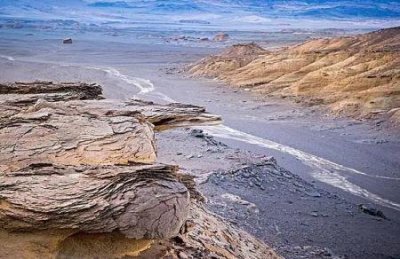 ​未解之谜：指猴灭绝了吗？指猴的可怕之处