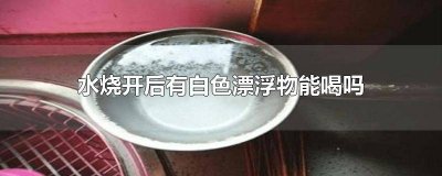 ​北京自来水烧开后有白色漂浮物能喝吗 地下水烧开后有白色漂浮物能喝吗