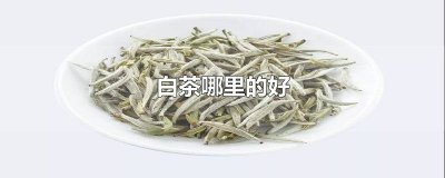 ​白茶哪里的好,多少钱1斤? 白茶哪里的好一点