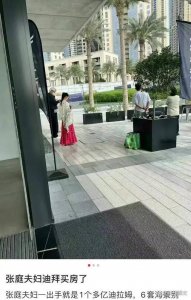 张庭夫妇近2亿买了6套别墅!一出手就是一个多亿迪拉姆