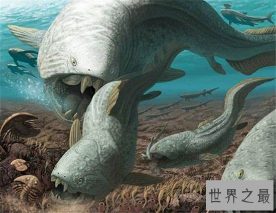 邓氏鱼由于太能吃体型增大，导致最终走向灭亡的原因