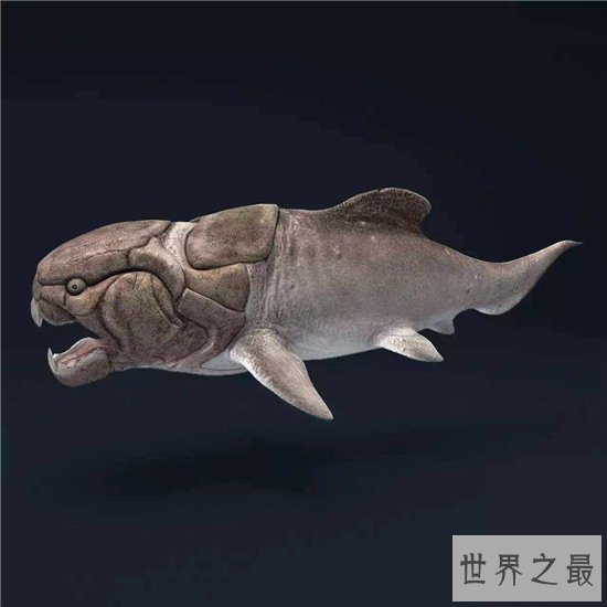 邓氏鱼由于太能吃体型增大，导致最终走向灭亡的原因