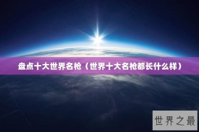 ​盘点十大世界名枪（世界十大名枪都长什么样）