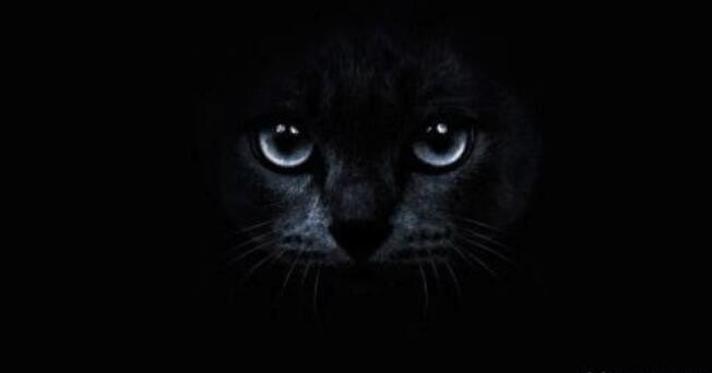 世界上有鬼吗真实答案 仍然有大量的人相信鬼的存在