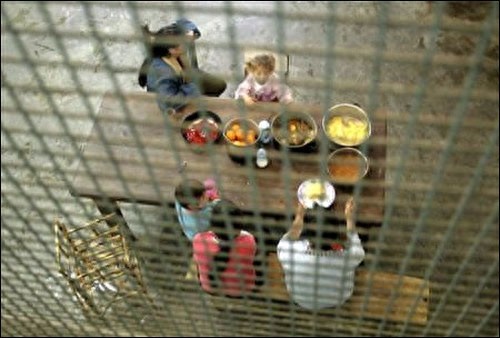 真实记录女犯妈妈和孩子在监狱的生活