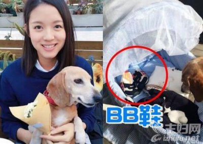 张梓琳怀孕了吗 张梓琳怀孕多久大曝光