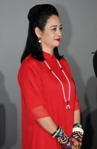 伍宇娟个人资料(伍宇娟现状)